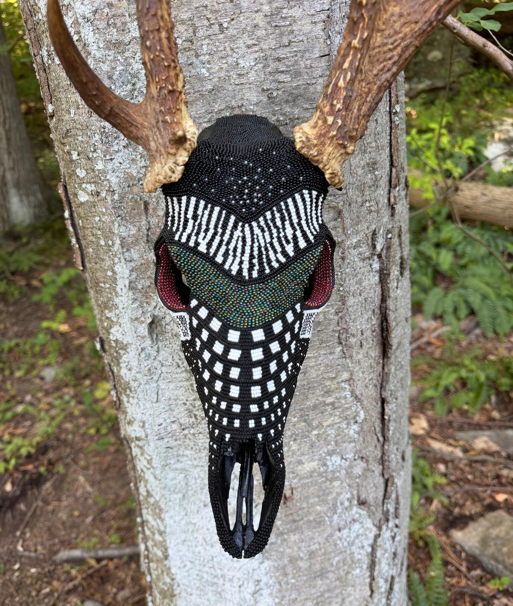 Loon Skull