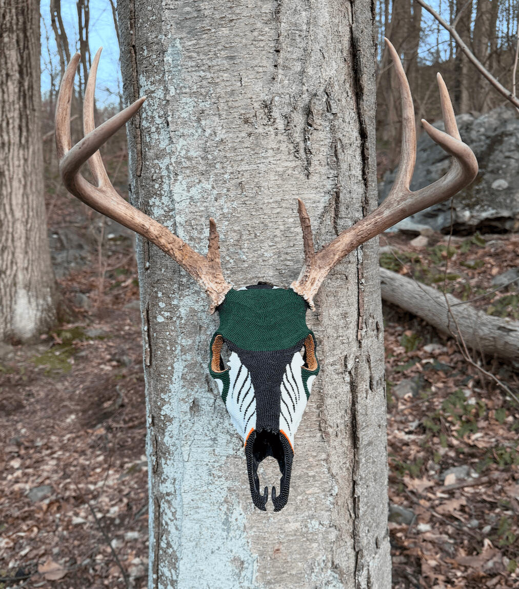 Golden Eye (Duck design)